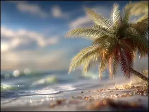 Grafika AI, Palma, Morze, Piasek