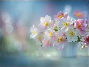 Grafika AI, Dzikie róże, Bukiet, Bokeh