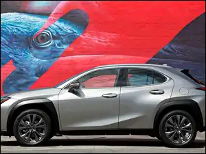 Lexus UX200 F-Sport