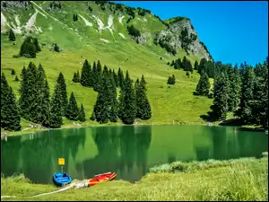 Drzewa, Jezioro, Góry, Łodzie
