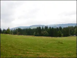 Łąka, Gubałówka