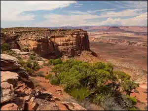 Park Narodowy Canyonlands, Skały, Stany Zjednoczone, Kanion, Stan Utah, Rośliny, Drzewa