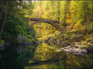 Skały, Las, Most, Stan Waszyngton, Rzeka, Moulton Falls Bridge, Stany Zjednoczone, Lewis River