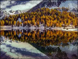 Las, Austria, Góry Alpy, Drzewa, Styria, Jezioro Duisitzkarsee, Odbicie, Ośnieżone
