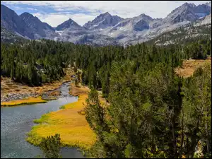 Stany Zjednoczone, Sierra Nevada, Stan Kalifornia, Lasy, Eastern Sierra, Rzeka, Rock Creek, Góry, Drzewa