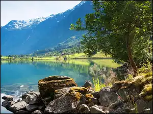 Drzewa, Jezioro, Góry, Kamienie