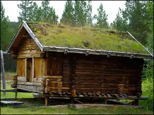 Dom, Trawa, Drewniany, Finlandia, Dach