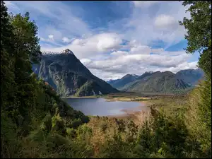 Jezioro, Góry, Las, Roślinność, Chmury, Drzewa
