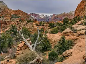 Park Narodowy Zion, Skały, Utah, Stany Zjednoczone, Góry