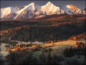Tatry Bielskie, Drzewa, Góry, Słowacja, Wzgórza