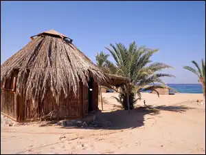 Palmy, Tropiki, Plaża, Domek, Morze