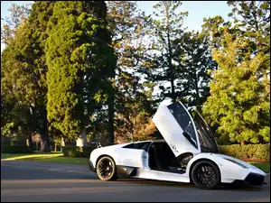 Lamborgini, Białe, LP670-4SV, Park, Murcielago, Ulica