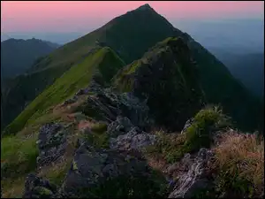 Szczyt, Rośliny, Góry, Poranek, Skały