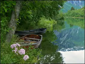 Las, Łódki, Jezioro