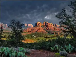 Drzewa, Stany Zjednoczone, Skały, Chmury, Arizona, Cathedral Rock, Kaktusy, Sedona