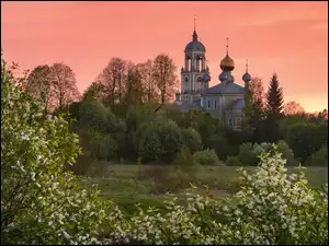Rosja, Cerkiew, Obwód jarosławski, Łąka, Debolovskoye, Krzewy, Kwiaty, Wiosna, Drzewa