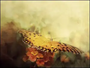 Kwiaty, Obraz, Sitodruk, Motyl