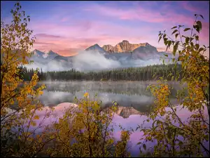 Jesienne drzewa nad jeziorem i mgła nad górami w Parku Narodowym Banff