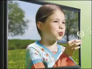Mlecz, Dziewczynka, Telewizor, Mniszek