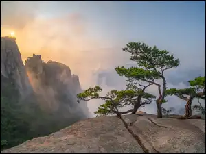 Dobongsan, Góry, Mgła, Korea Południowa, Słoneczne światło, Sosny, Skały
