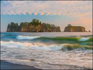 Drzewa, Fale, Brzeg, Morze, Stan Waszyngton, Stany Zjednoczone, Rialto Beach, Plaża, Park Narodowy Olympic, Skały