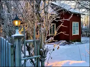 Brama, Zima, Drzewa, Oświetlona, Śnieg, Płot, Lampa, Domek