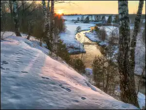 Śnieg, Zima, Drzewa, Ślady, Rzeka, Brzozy