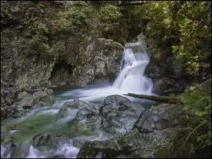 Twin Falls, Rzeka, Park Narodowy Yoho, Wodospad, Kanada, Rośliny, Skały