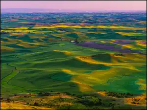 Palouse, Pola, Waszyngton, Stany Zjednoczone, Wzgórza