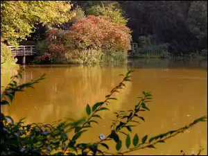 Mostek, Jesień, Jezioro, Krzewy