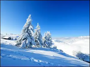 Wzgórza, Drzewa, Domy, Zima, Ośnieżone