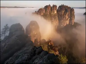 Skały, Góry, Mgła, Sosny, Gęsta, Drzewa