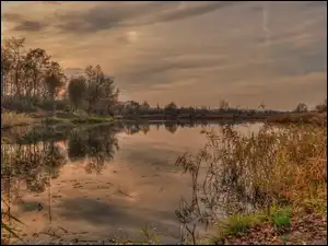 Roślinność, Zachód, Słońca, Jezioro
