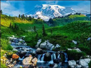 Drzewa, Góra, Kamienie, Łąka, Potok, Mount Rainier, Park Narodowy Mount Rainier, Stany Zjednoczone, Dolina