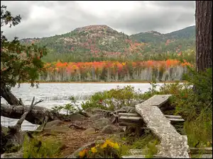 Stany Zjednoczone, Góry, Stan Maine, Kładka, Park Narodowy Acadia, Jezioro, Upper Hadlock Lake, Porośnięte, Drzewa
