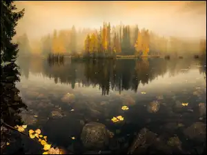 Mgła, Jesień, Jezioro, Las
