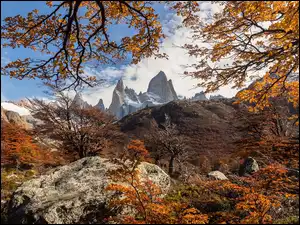 Jesienny krajobraz w Patagonii