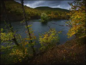 Wysepka, Liście, Góry, Jezioro, Drzewa