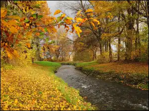 Jesień, Rzeka, Park, Liście