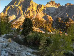 Skały, Włochy, Dolomity, Góry, Drzewa