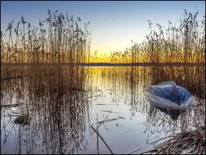 Łódka, Trawa, Jezioro, Wschód słońca, Szuwary