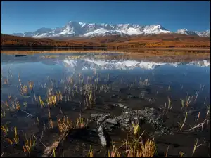 Jezioro, Odbicie, Las, Góry, Trawa