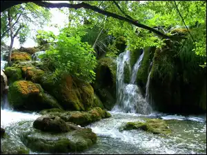 Plitvice, Wodospad, Skały, Drzewa
