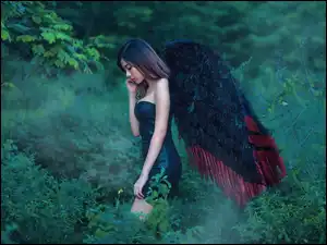 Czarny anioł, Fantasy, Kobieta, Skrzydła