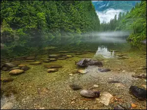 Mgła, Kanada, Kamienie, Jezioro, Las