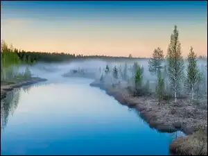 Brzozy, Rzeka, Mgła