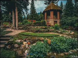 Park Narodowy Banff, Park, Schodki, Alberta, Altana, Rośliny, Kanada, Drzewa