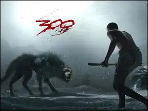 człowiek, 300, zima, wilk