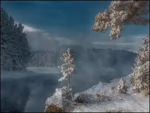 Drzewa, Mgła, Śnieg, Zima, Rzeka