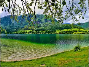 Łąka, Góry, Las, Jezioro